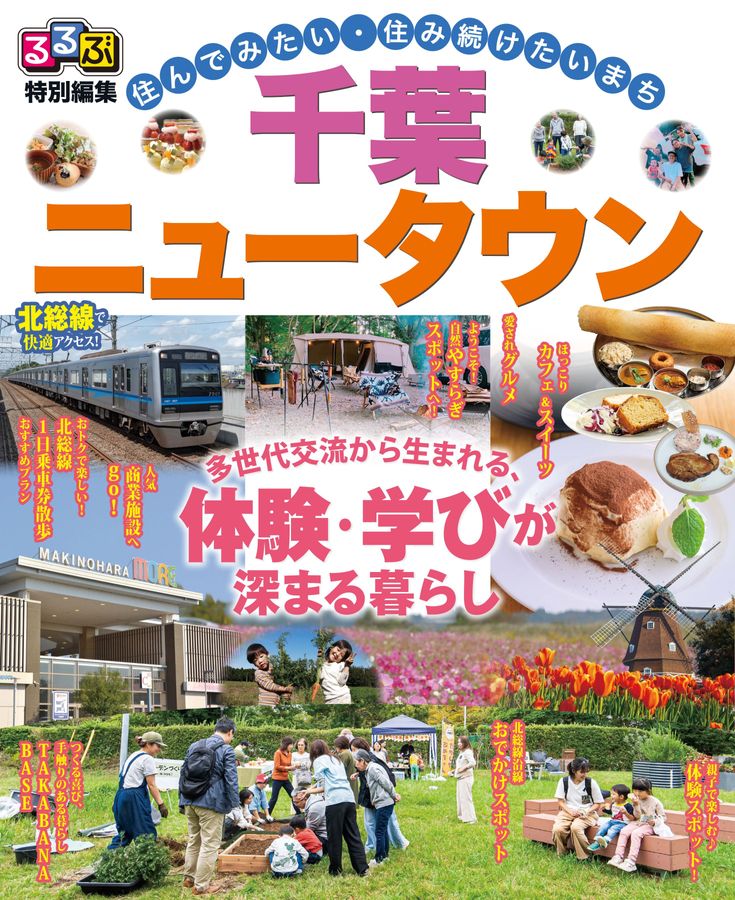 るるぶ　'96 千葉房総　1000号 るるぶ '96 千葉房総 1000号 地図/旅行ガイド