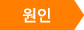 원인